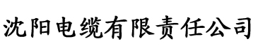 一婚更比一婚高晨雾的光电缆厂logo